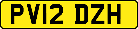 PV12DZH