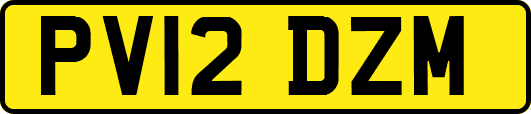 PV12DZM