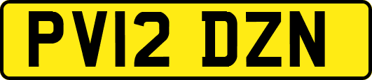 PV12DZN
