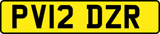 PV12DZR