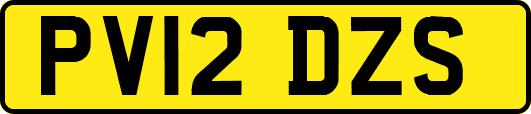 PV12DZS