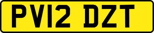 PV12DZT