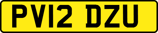PV12DZU