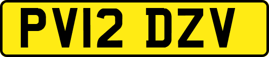 PV12DZV