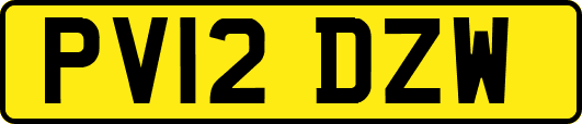 PV12DZW