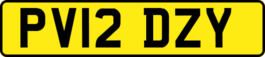 PV12DZY