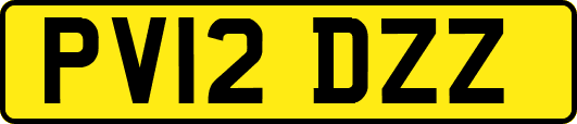 PV12DZZ