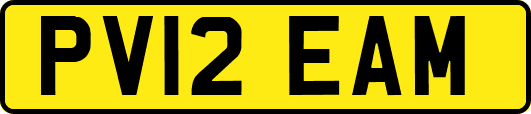 PV12EAM