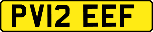 PV12EEF