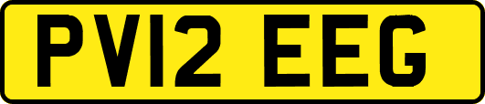 PV12EEG