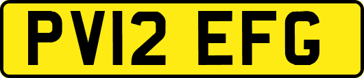 PV12EFG