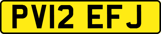 PV12EFJ