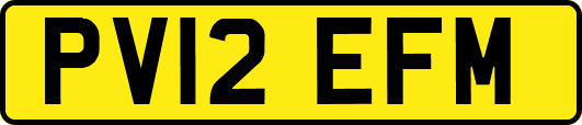 PV12EFM