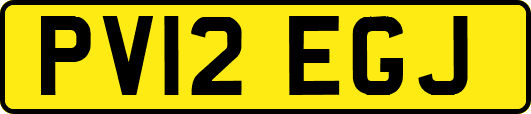 PV12EGJ