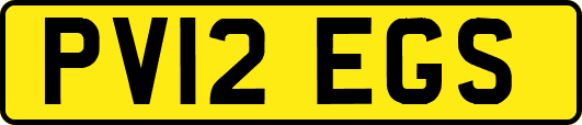 PV12EGS