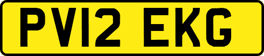 PV12EKG
