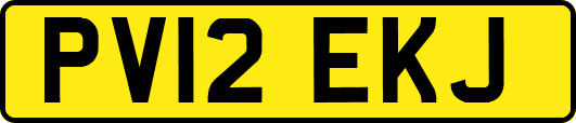 PV12EKJ