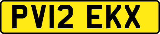 PV12EKX