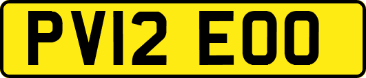 PV12EOO