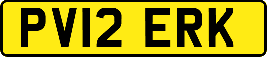 PV12ERK