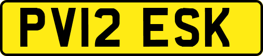 PV12ESK