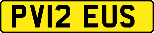 PV12EUS