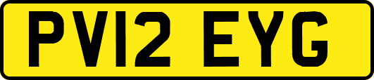 PV12EYG