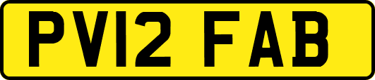 PV12FAB