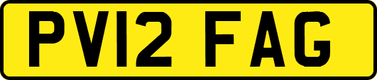 PV12FAG