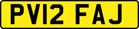 PV12FAJ