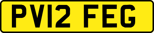 PV12FEG