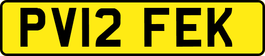 PV12FEK