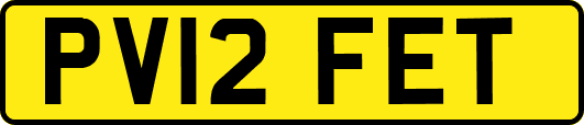 PV12FET