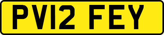 PV12FEY