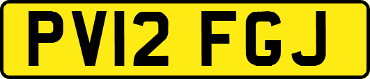 PV12FGJ