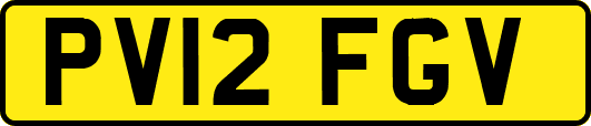 PV12FGV