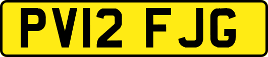 PV12FJG