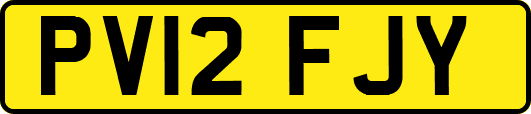 PV12FJY