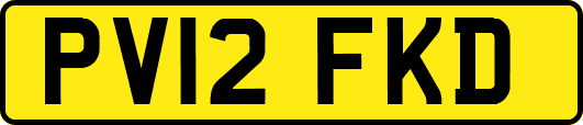 PV12FKD