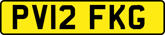PV12FKG