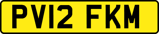 PV12FKM