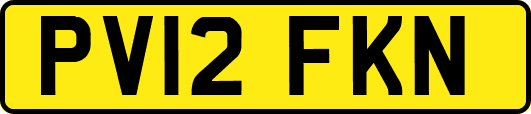 PV12FKN
