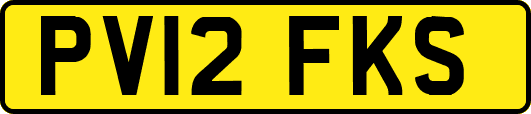 PV12FKS