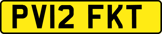 PV12FKT