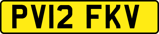PV12FKV