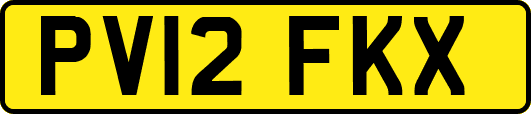 PV12FKX