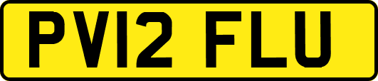 PV12FLU