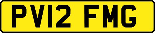 PV12FMG