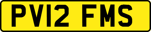PV12FMS