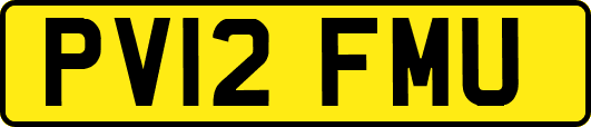 PV12FMU